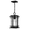 Quoizel McAlister 1-Light Earth Black Outdoor Hanging Lantern MCL1908EK